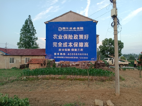 喜德墙体广告的优劣势你知道吗?